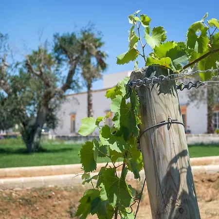 Tenuta Mose Charming House&relais * גאליפולי