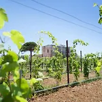 Farm stay Tenuta Mose Charming House&relais