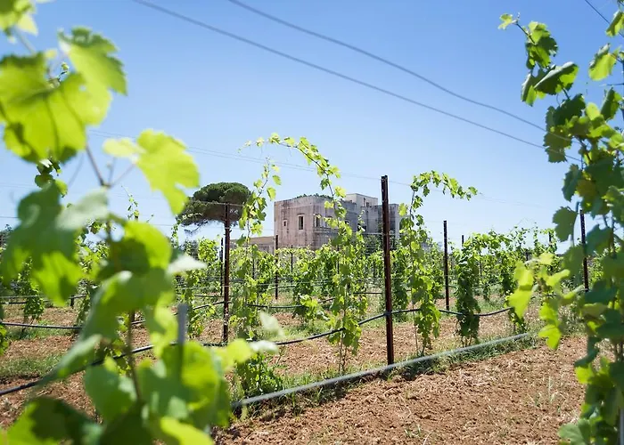 Farm stay Tenuta Mose Charming House&relais