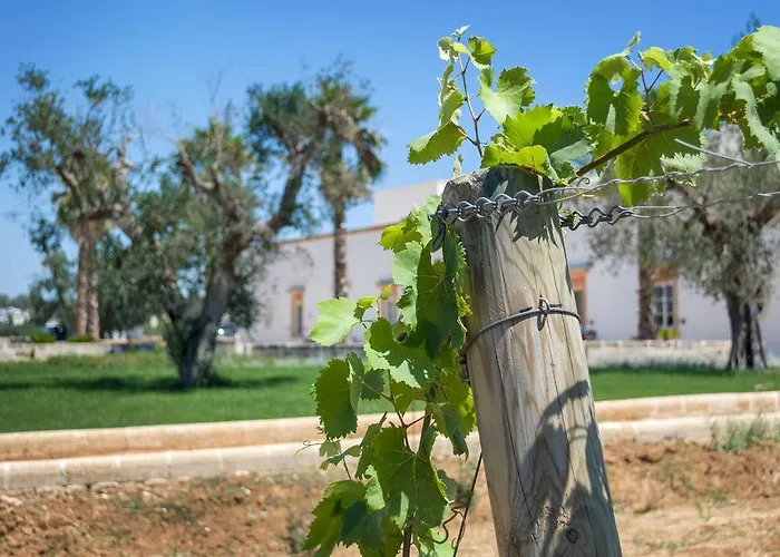 Tenuta Mose Charming House&relais * גאליפולי